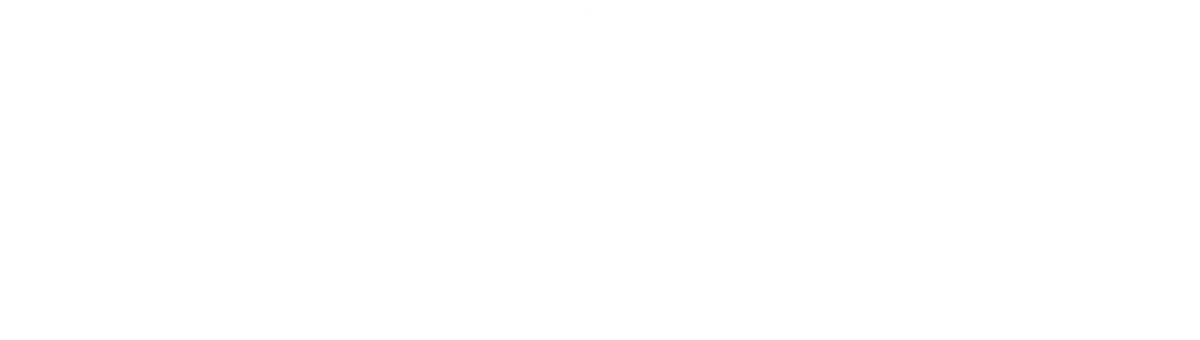 Logo Renzo Post